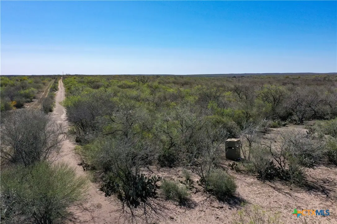 TBD County Road 131, George West, TX 78022 - Image #1