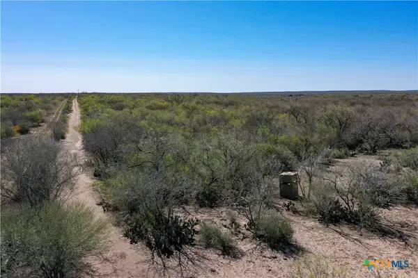 TBD County Road 131, George West, TX 78022