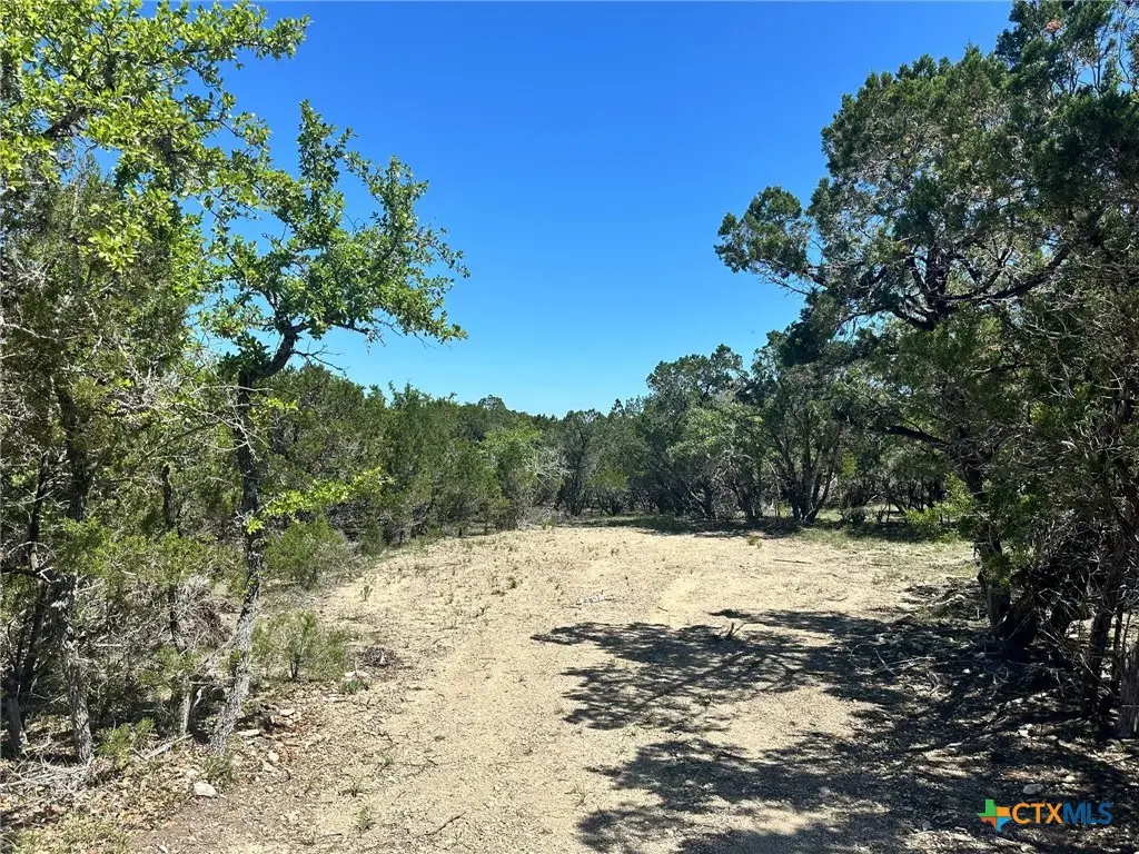 277 Gallagher Drive, Canyon Lake, TX 78133 - Image #1