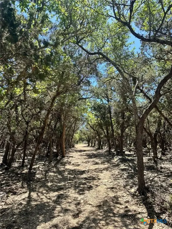 277 Gallagher Drive, Canyon Lake, TX 78133 - Image #3