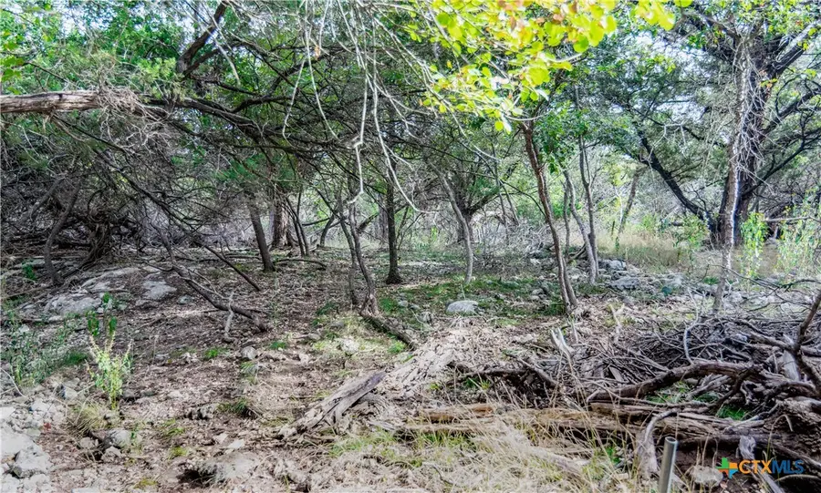 16353 Charlya Drive, Temple, TX 76502 - Image #3