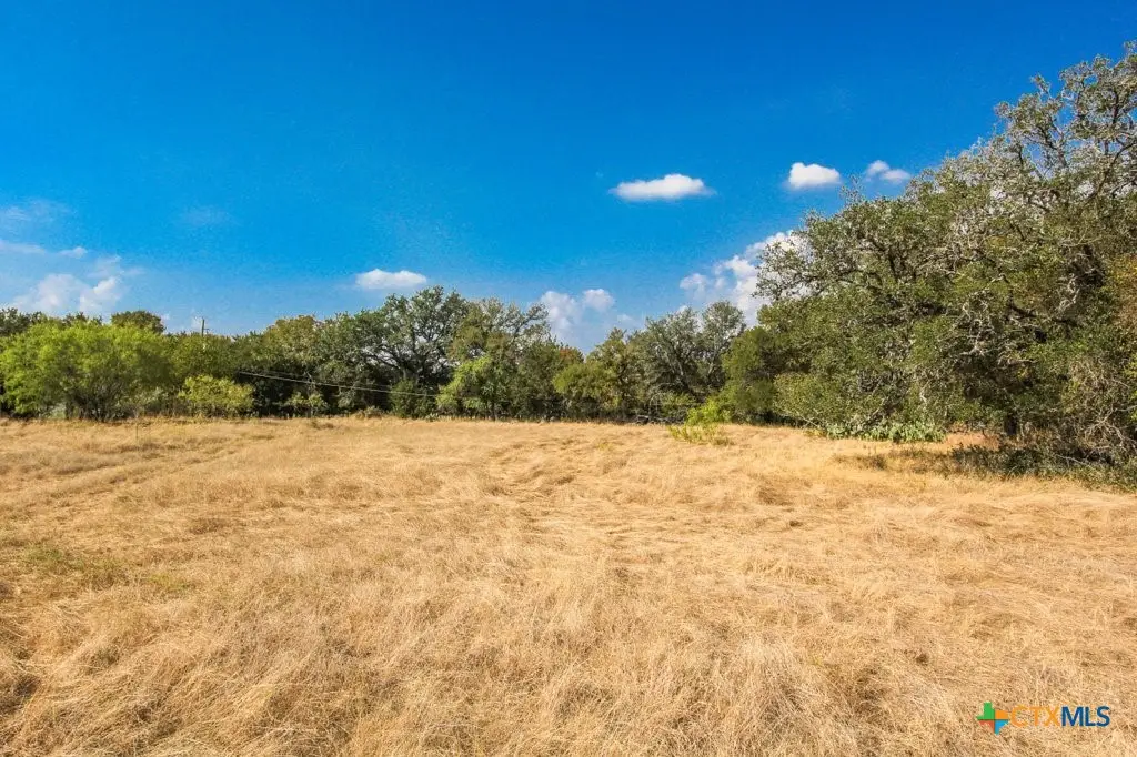 000 Wren Haven Dr, San Marcos, TX 78666 - Image #1