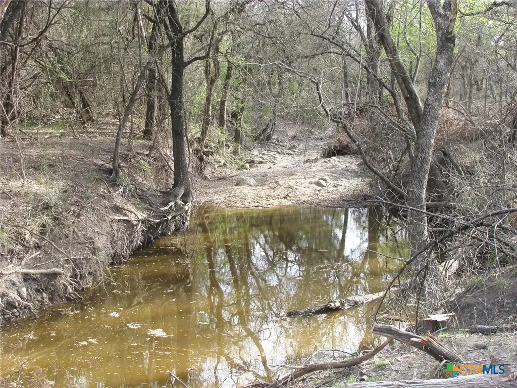 41.67 Acres TBD Old Georgetown Road, Gatesville, TX 76528 - Image #1