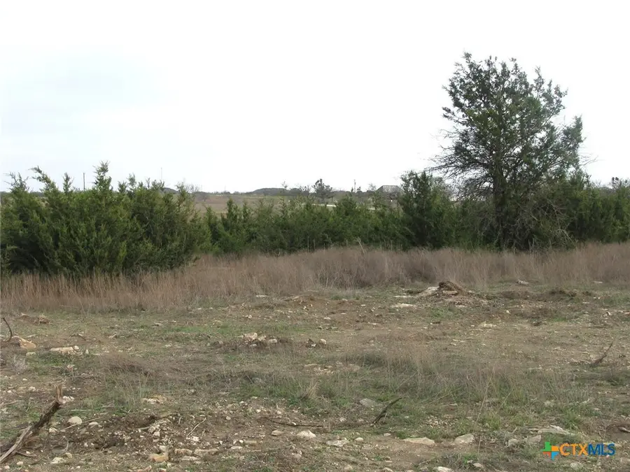 19.95 Acres TBD Old Georgetown Road, Gatesville, TX 76528 - Image #2