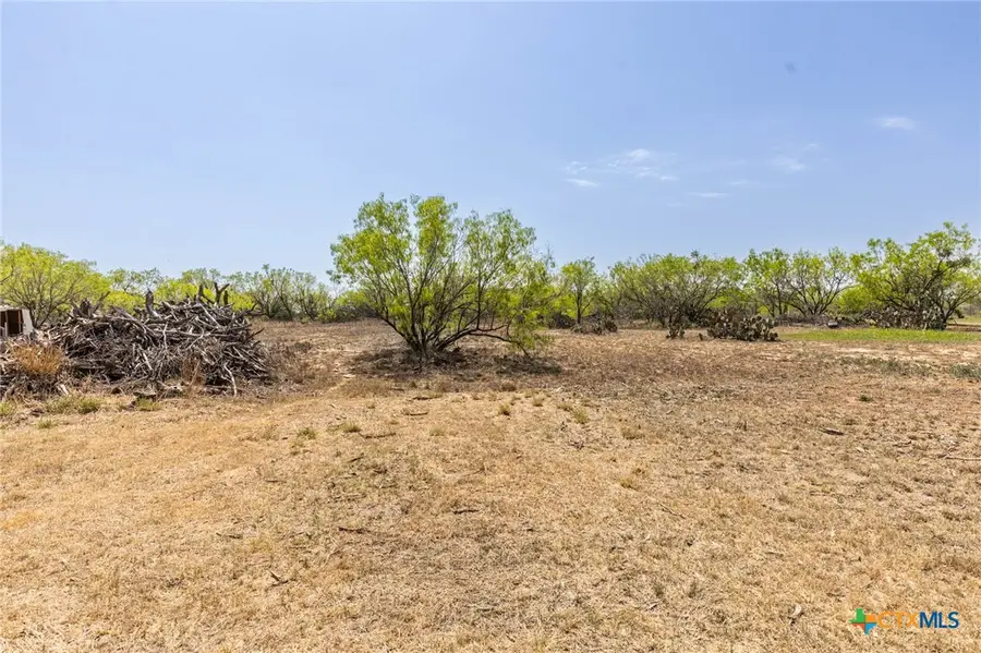 181 Viridian View, Pleasanton, TX 78064 - Image #3