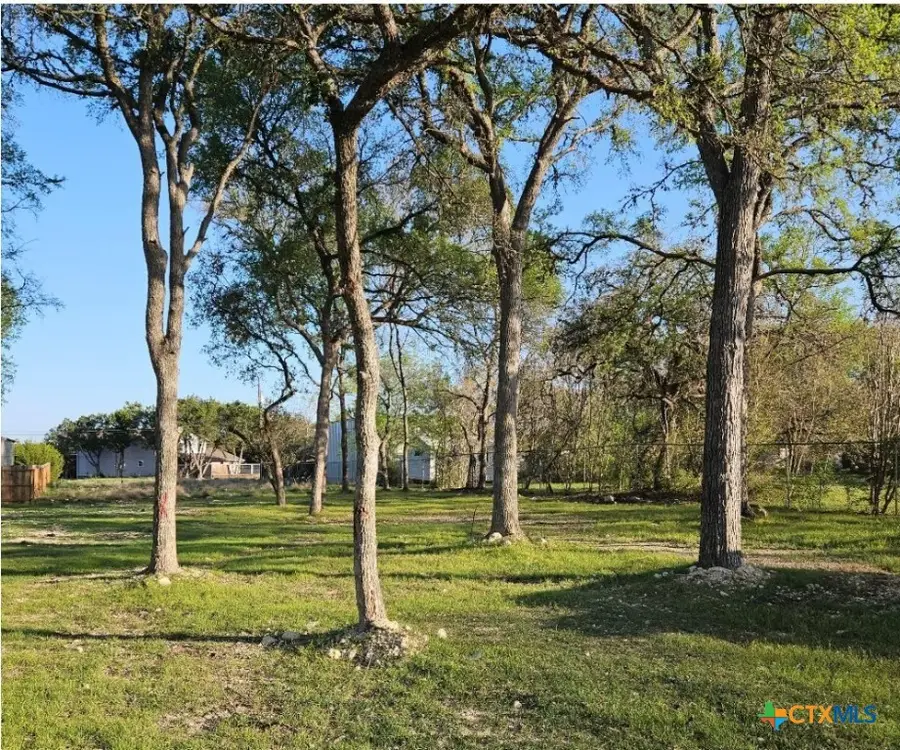 2022 Blueridge Drive, Canyon Lake, TX 78133 - Image #2