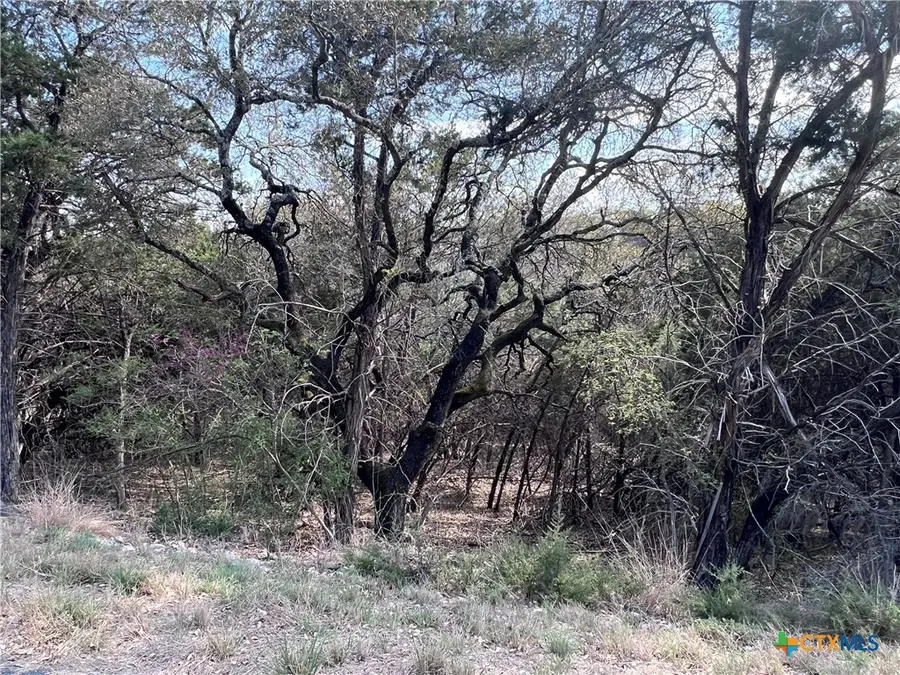 4079 Sherwood Drive, Belton, TX 76513 - #2