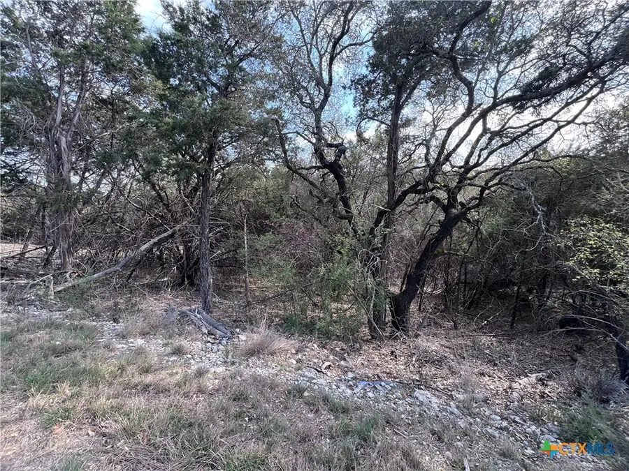 4079 Sherwood Drive, Belton, TX 76513 - #3