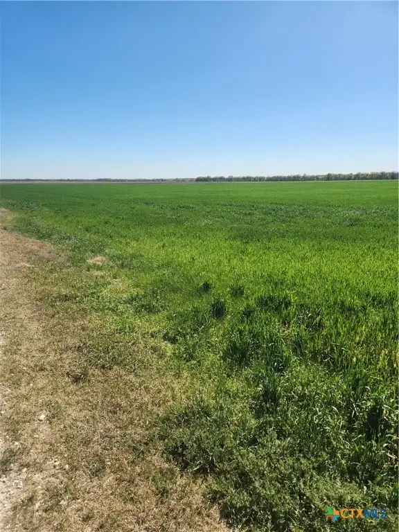 T B D Dales Acres, Milford, TX 76670 - Image #3