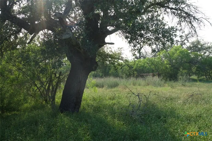 TBD Taylorsville Road, Red Rock, TX 78662 - #2