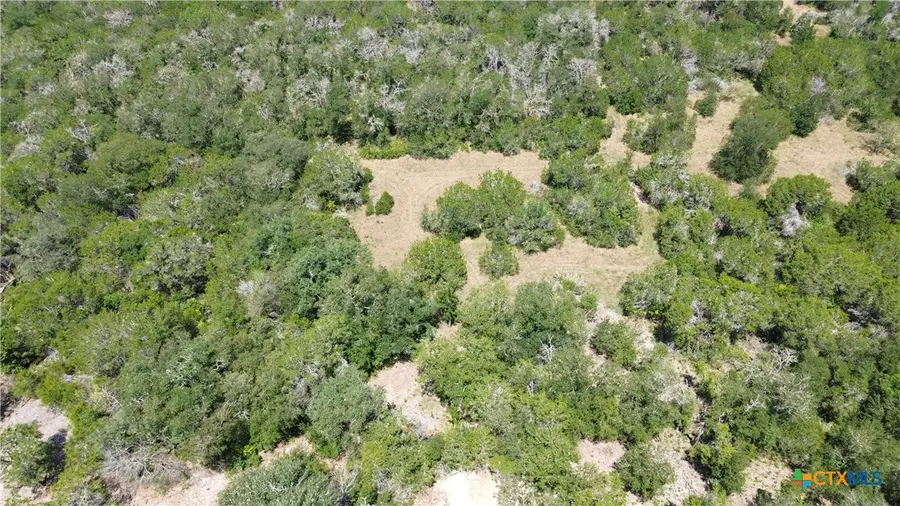 1921 (Lot 5) Woodford Court, Salado, TX 76571 - Image #3