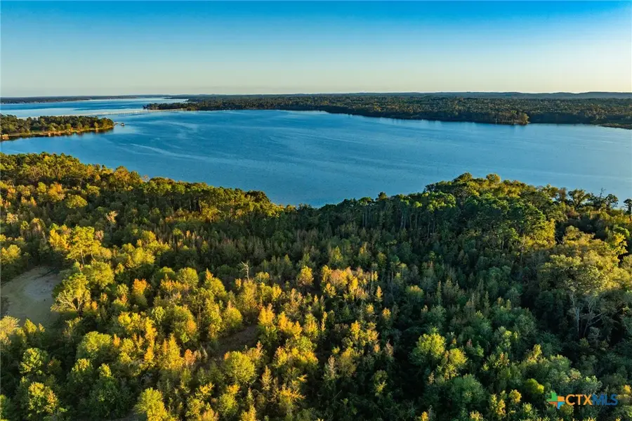 TBD County Road 3411, Chandler, TX 75758 - Image #3