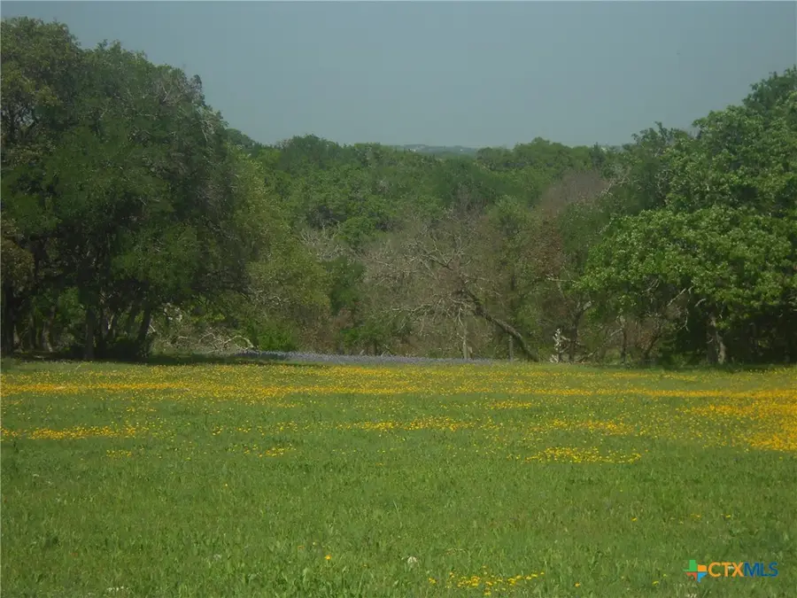 10655 E Trimmier Road, Killeen, TX 76542 - Image #3