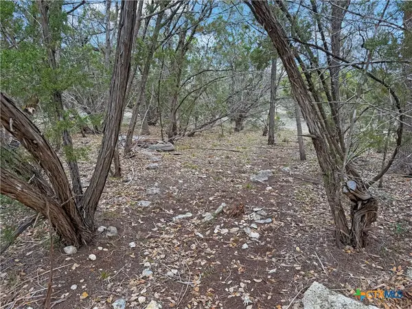 1084 Dog Leg Lane, Spring Branch, TX 78070