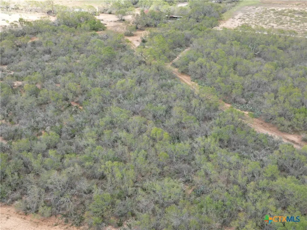 9538 Fm 1333, Charlotte, TX 78011 - Image #1