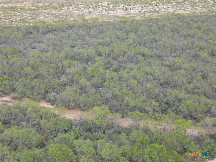 9538 Fm 1333, Charlotte, TX 78011 - Image #2