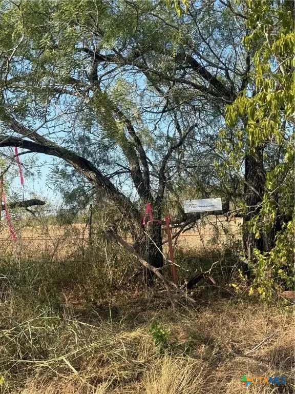 TBD Fm-1681, Stockdale, TX 78160 - Image #2