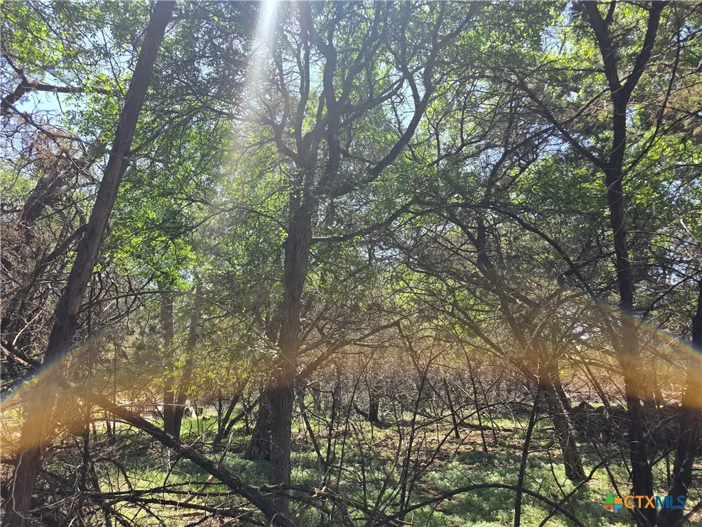 1548 Winding Creek Trail, Spring Branch, TX 78070 - #1