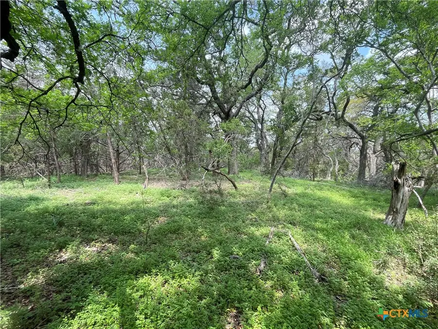 TBD Piedras Pass, San Marcos, TX 78666 - Image #3