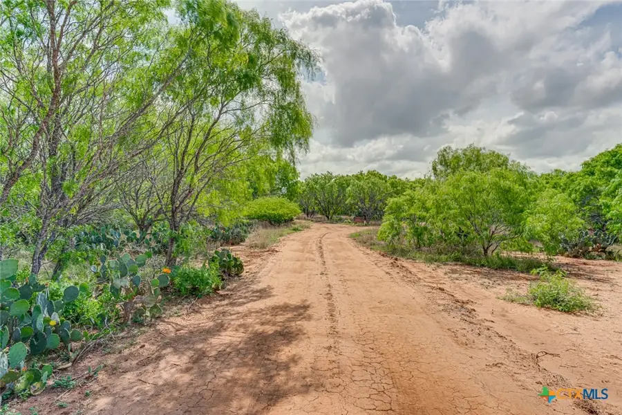 551 PR Mia Lane, Floresville, TX 78114 - Image #3