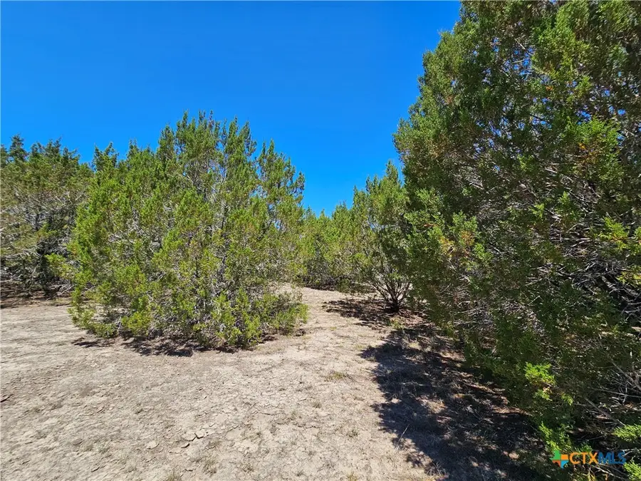 Lot 25 Alta Vista Drive, Lampasas, TX 76550 - Image #3
