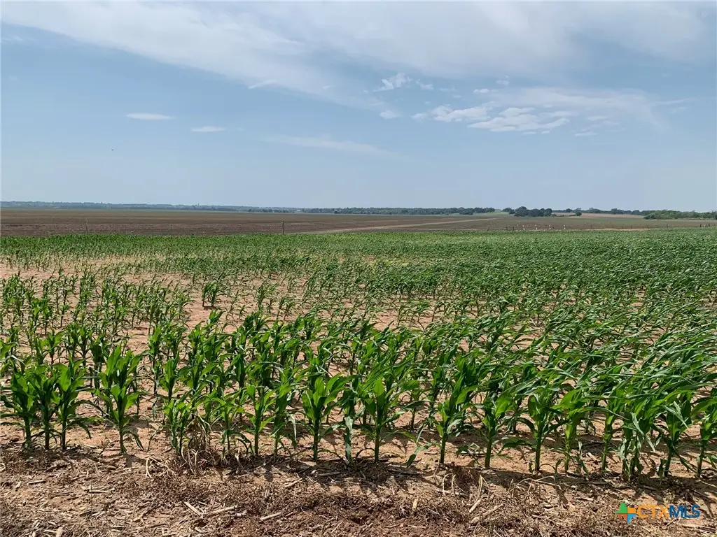 TBD County Road 448, Chilton, TX 76632 - Image #1