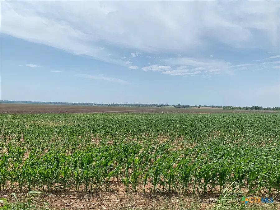 TBD County Road 448, Chilton, TX 76632 - Image #2