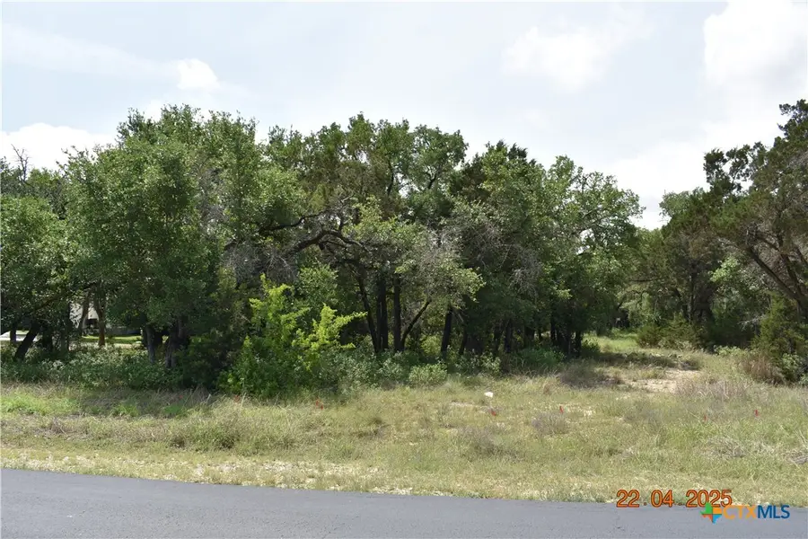 2315 Haven Bluff Court, New Braunfels, TX 78132 - Image #2