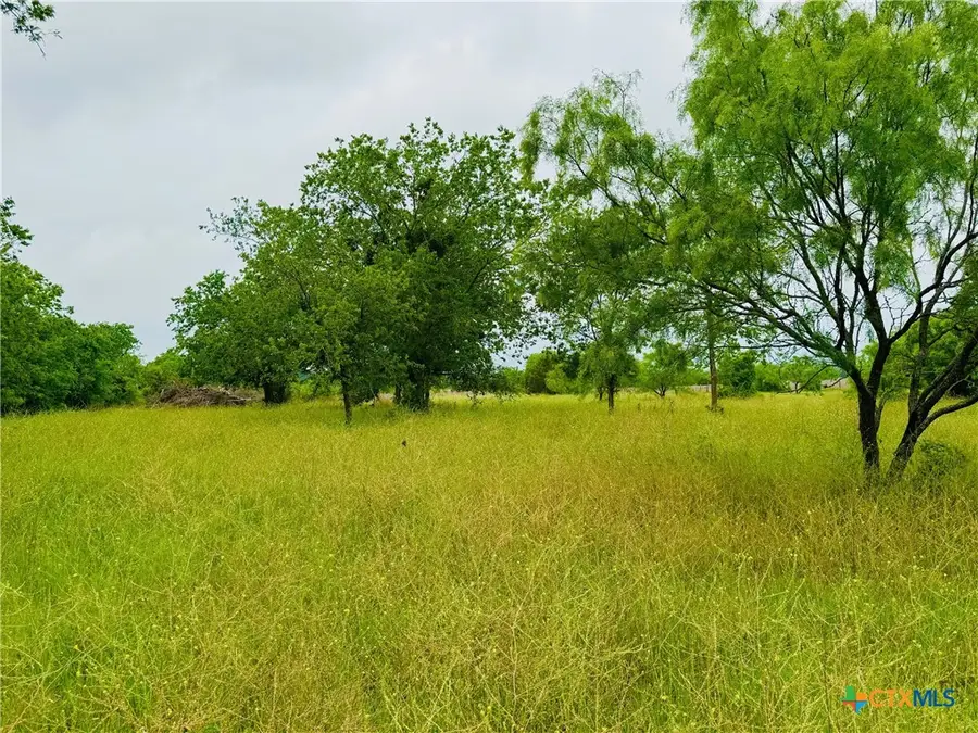 Lot 4 Old Pidcoke, Gatesville, TX 76528 - Image #2