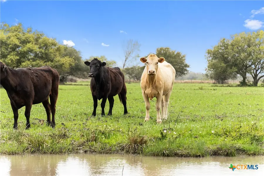 778 County Road 123, Edna, TX 77957 - Image #2