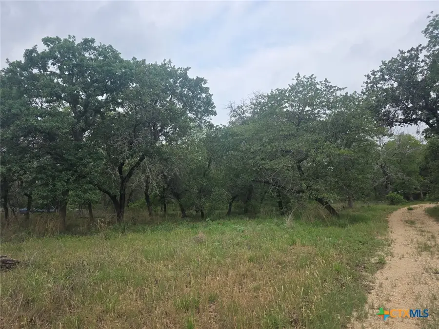 1060 Vivroux Ranch Road, Seguin, TX 78155 - Image #2