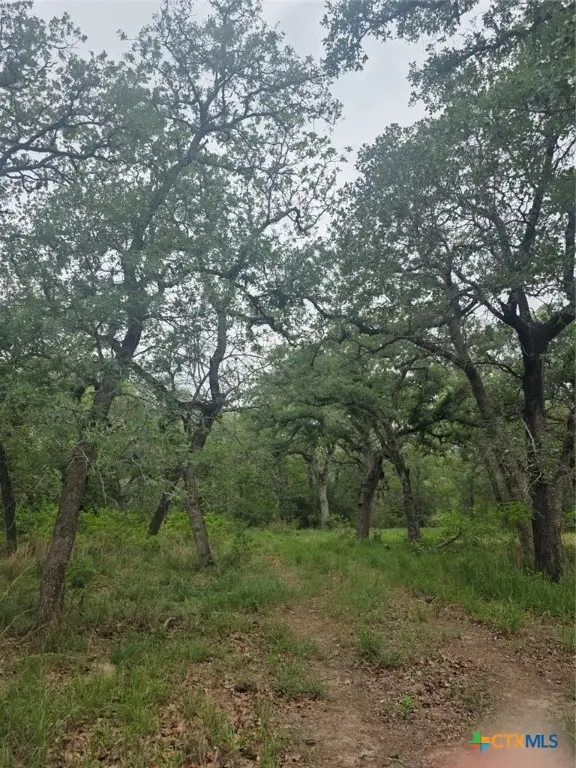 1060 Vivroux Ranch Road, Seguin, TX 78155 - Image #3