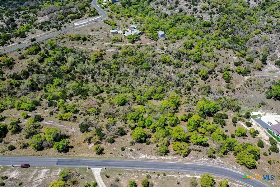 331 Echo Falls Lane, Comfort, TX 78013 - Image #3