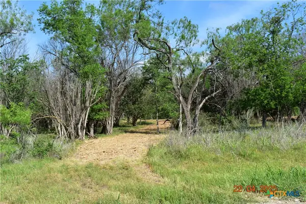 000 Lot 1 Caney Creek Road, New Braunfels, TX 78130