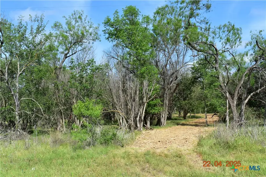000 Lot 1 Caney Creek Road, New Braunfels, TX 78130 - Image #3