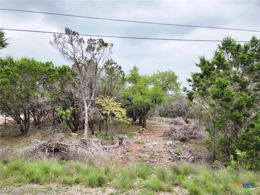 1745 Moon View Drive, New Braunfels, TX 78132 - Image #3