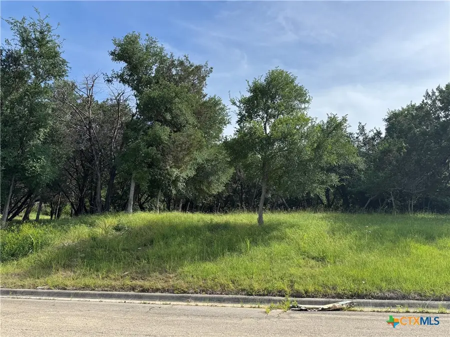 3619 White Oak Drive, Temple, TX 76502 - Image #2