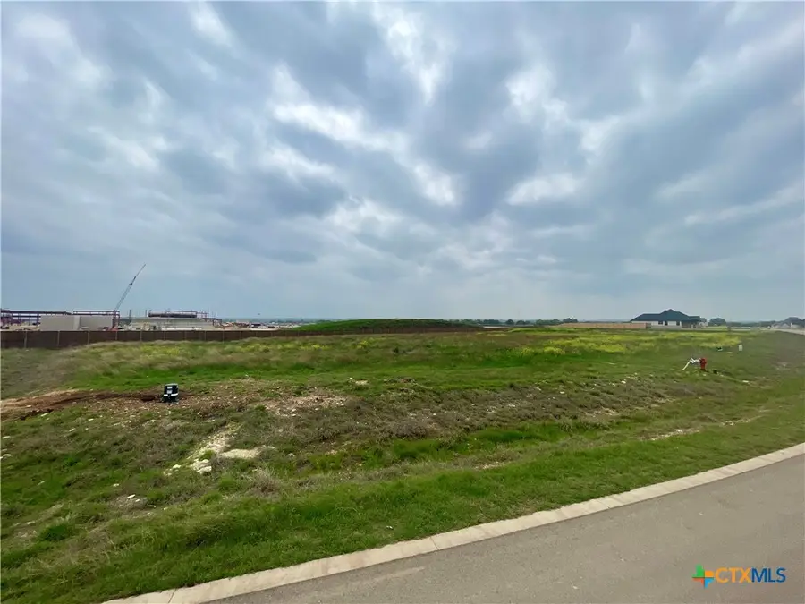 11019 Eagle Walk Boulevard, Salado, TX 76571 - Image #2