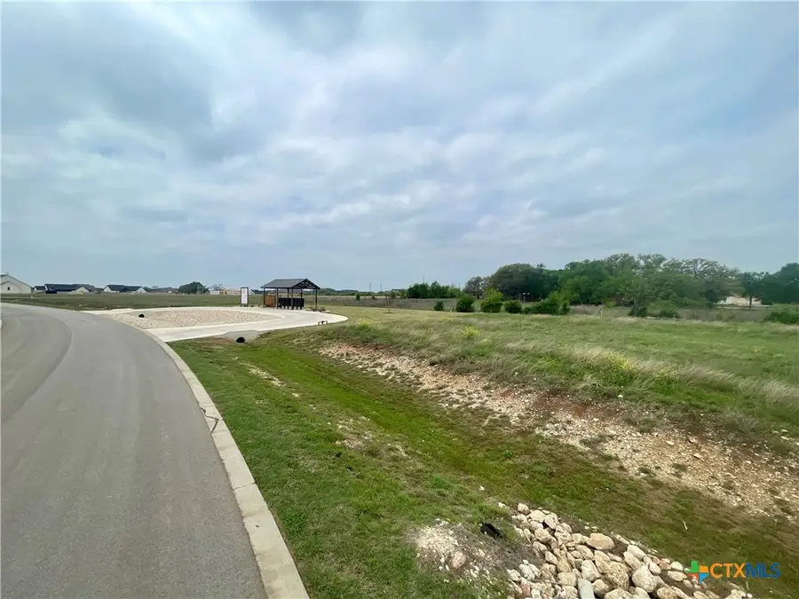 11018 Eagle Walk Boulevard, Salado, TX 76571 - Image #3