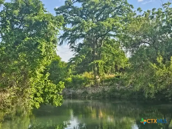 263 E Garden Street, New Braunfels, TX 78130 - Image #2