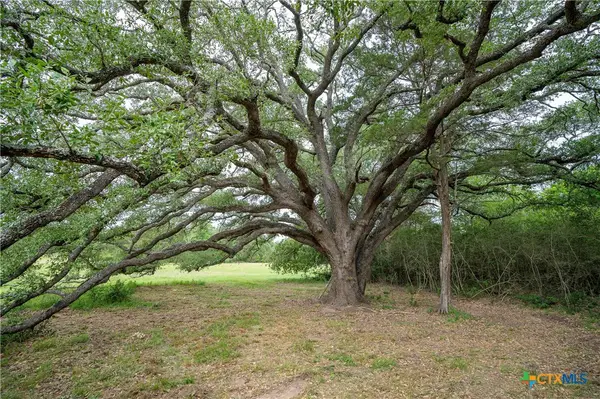 TBD Fm 713 Highway, Rosanky, TX 78953