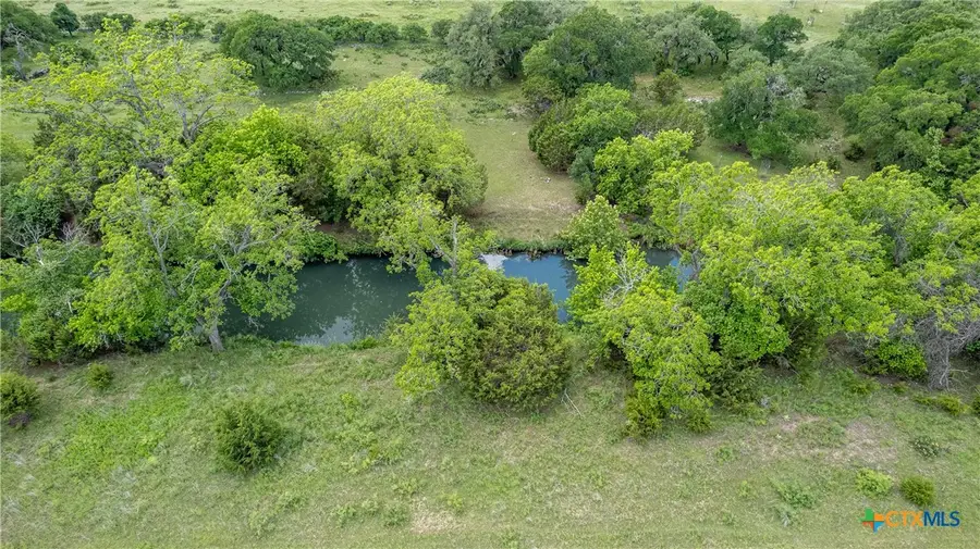 423 Rittimann Road, Spring Branch, TX 78070 - Image #3
