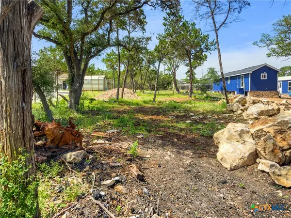 211 Rip Ford Road, Spring Branch, TX 78070