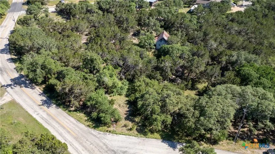 1529 Charter Oak Drive, Canyon Lake, TX 78133 - Image #2