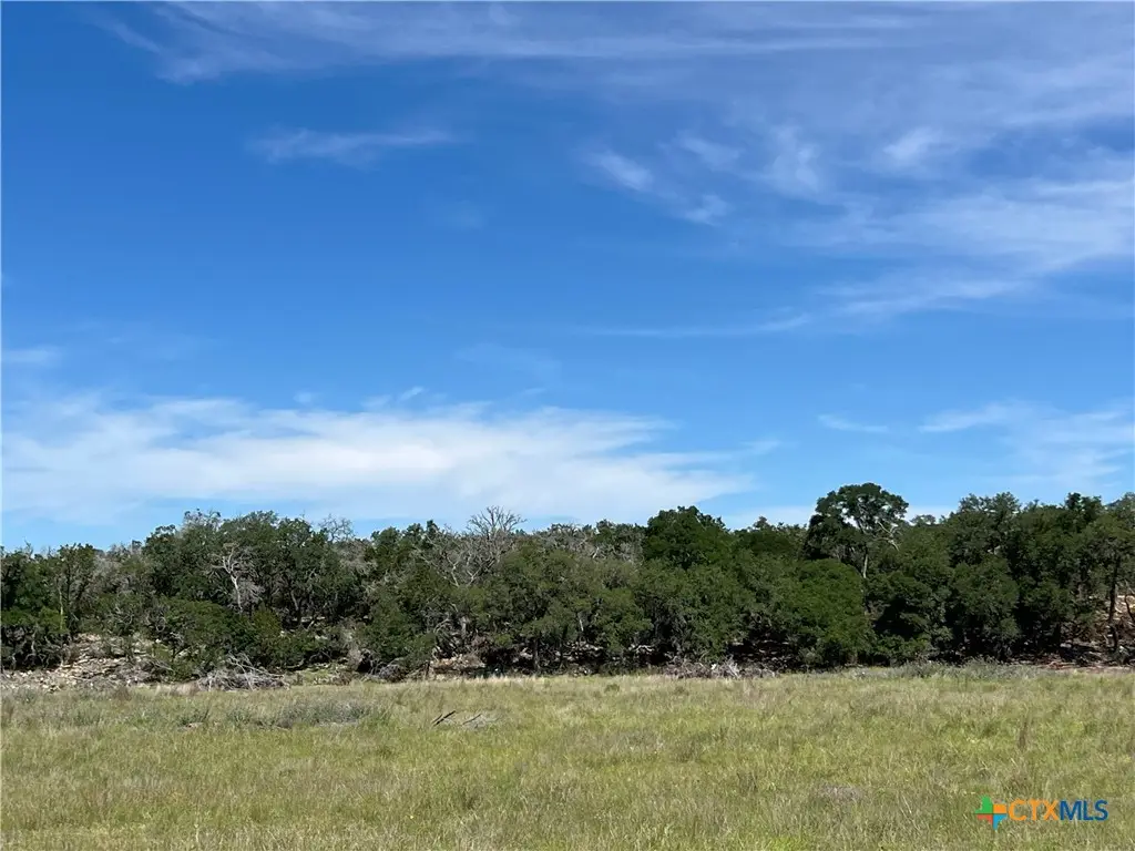TBD Narrows Road, Blanco, TX 78606 - Image #1