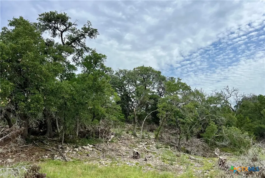 TBD Narrows Road, Blanco, TX 78606 - Image #3