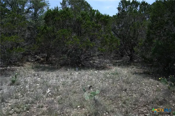 135 Agarita Drive, Spring Branch, TX 78070