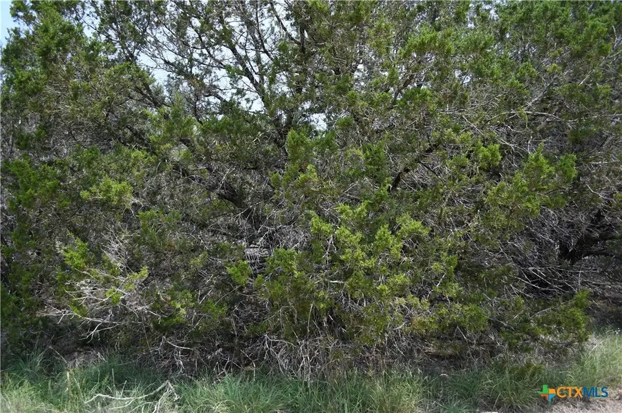 135 Agarita Drive, Spring Branch, TX 78070 - #2