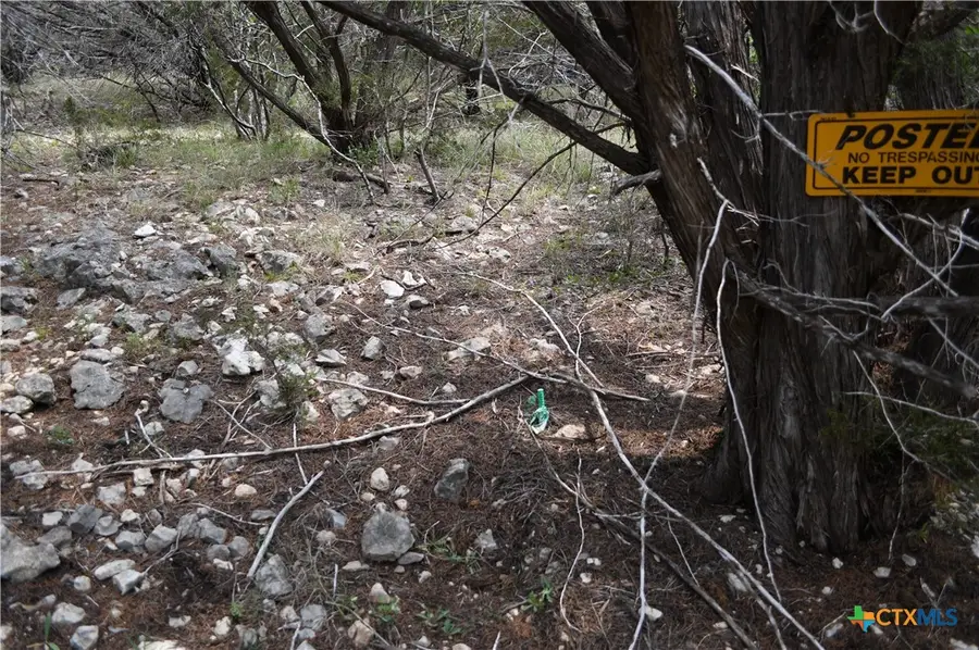 135 Agarita Drive, Spring Branch, TX 78070 - #3