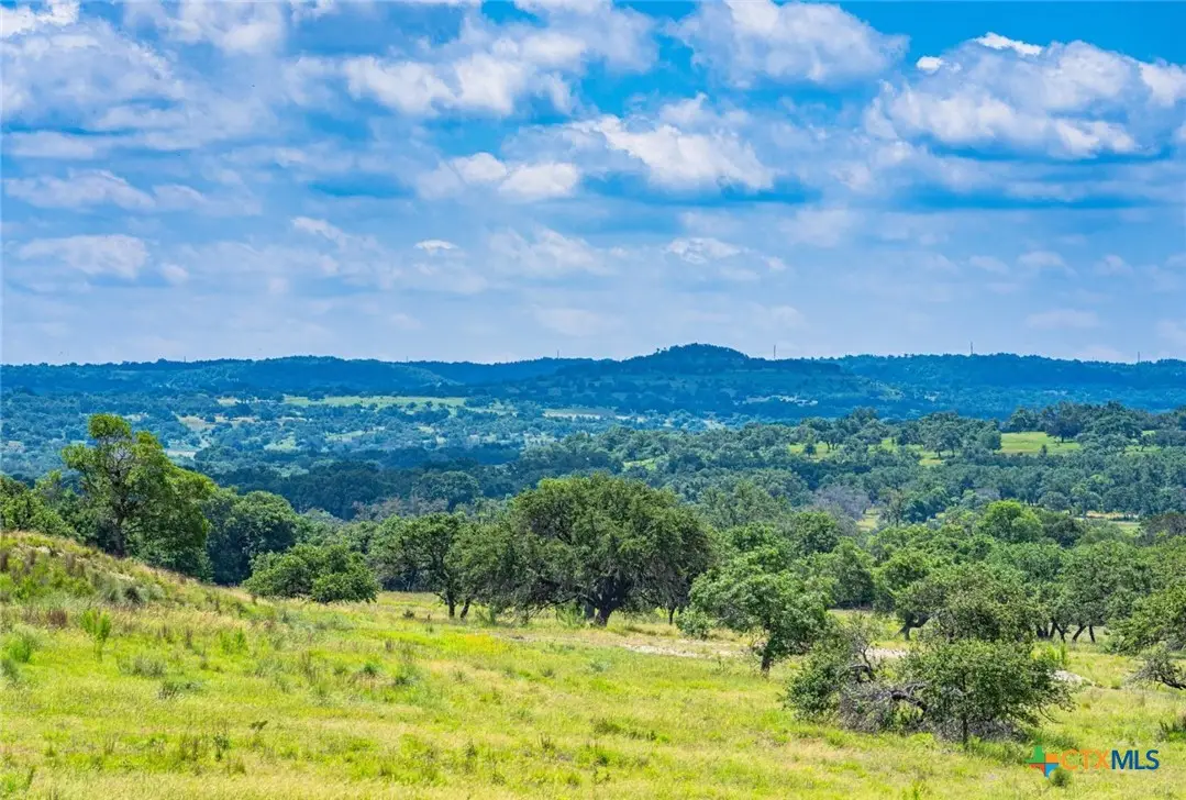 0000 Gibson-best Road, Hye, TX 78635 - #1